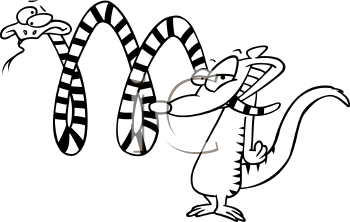 Snake Clipart