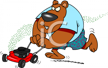 Bear Clipart