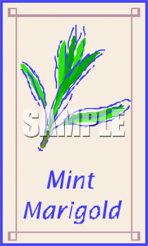 Mint Clipart