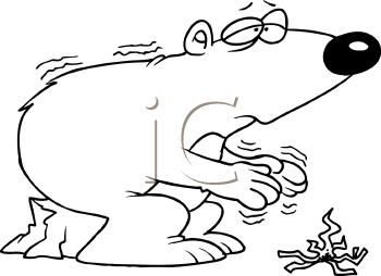 Bear Clipart