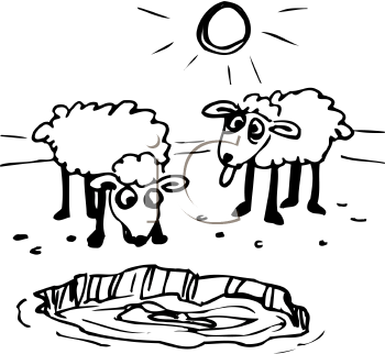 Sheep Clipart