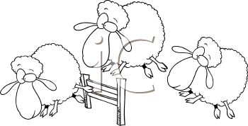 Sheep Clipart