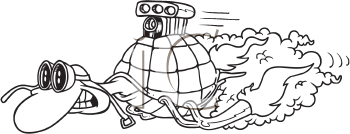 Turtle Clipart