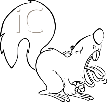 Squirrel Clipart