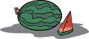 Watermelon Clipart