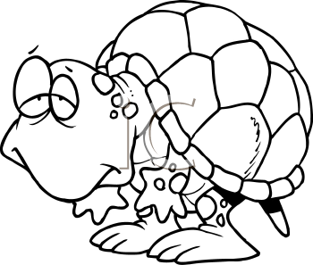 Tortoise Clipart