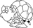 Tortoise Clipart