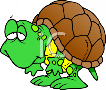 Tortoise Clipart