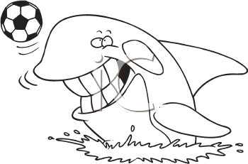 Whale Clipart