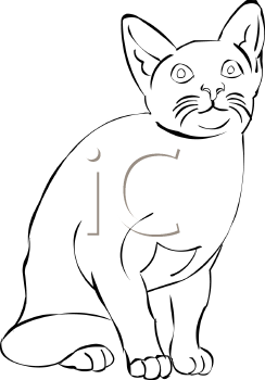 Cat Clipart