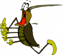 Bug Clipart