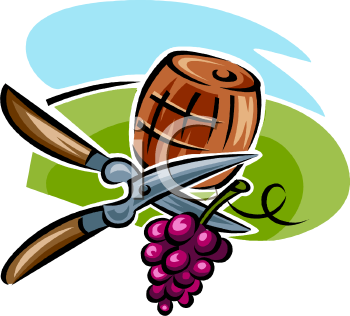 Grape Clipart