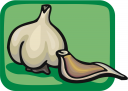 Garlic Clipart