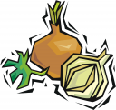 Onion Clipart