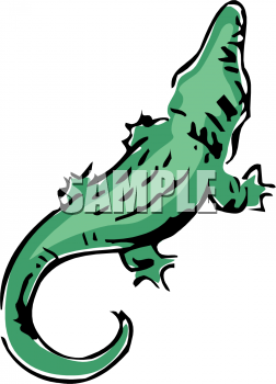 Crocodile Clipart