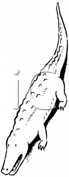 Crocodile Clipart