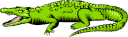 Crocodile Clipart