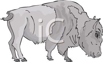 Mammal Clipart