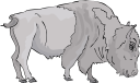 Mammal Clipart