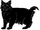 Cat Clipart