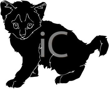 Cat Clipart