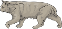 Cat Clipart