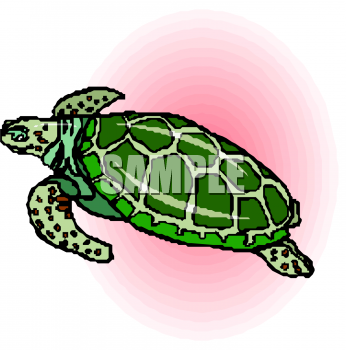 Tortoise Clipart