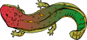 Frog Clipart