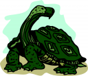 Tortoise Clipart