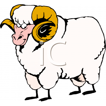 Sheep Clipart