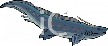 Fish Clipart