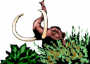 Dinosaur Clipart