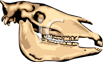 Dinosaur Clipart