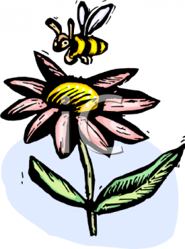 Daisy Clipart