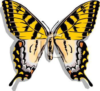 Bug Clipart