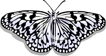 Bug Clipart