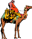 Camel Clipart