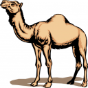 Camel Clipart