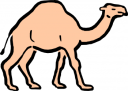 Camel Clipart