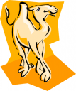 Camel Clipart