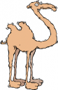 Camel Clipart