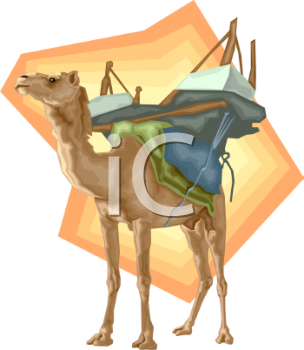 Camel Clipart