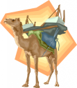 Camel Clipart