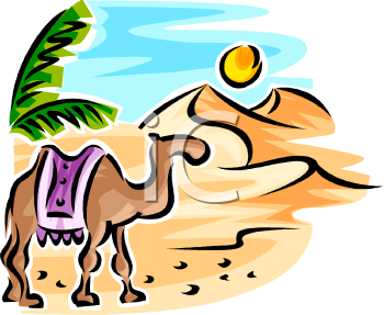 Camel Clipart