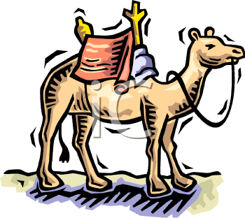 Camel Clipart