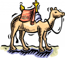 Camel Clipart