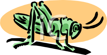 Bug Clipart