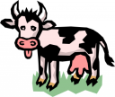 Cow Clipart