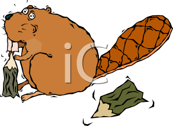 Cartoon Clipart