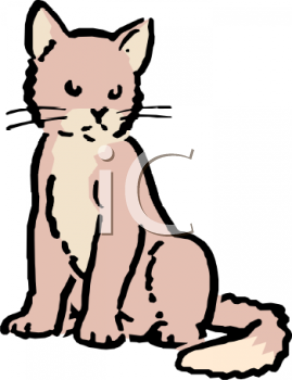 Cat Clipart